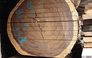 hardhout-ruw-padoek hardhout-ruw-padoek