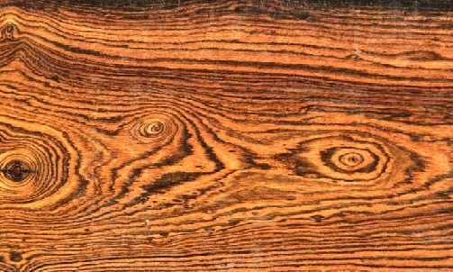 Bocote
