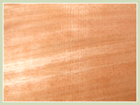 Cedrorana