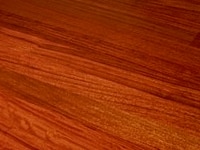 Mahonie hout