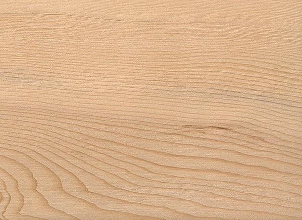 Hemlock