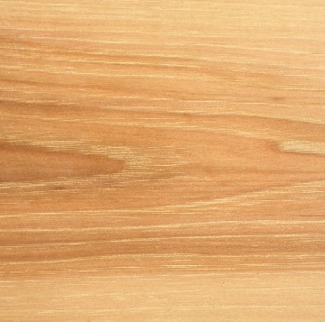 Hickory