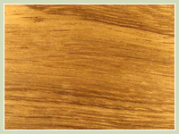 Iroko