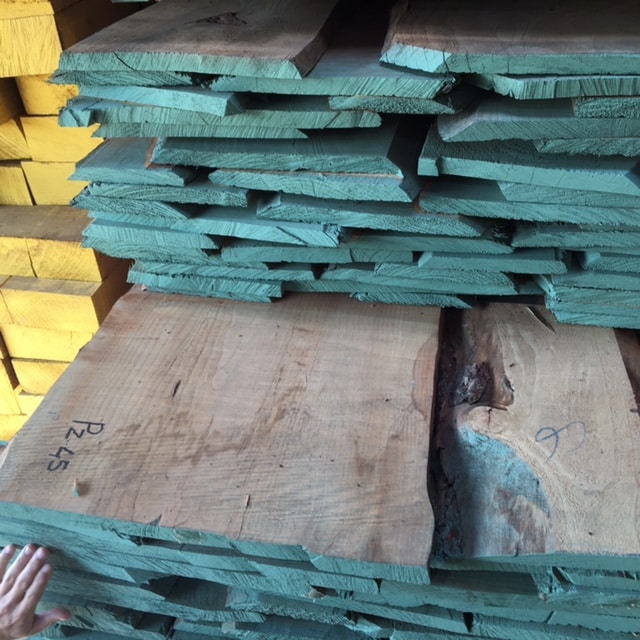 Libanon Cedar 26mm