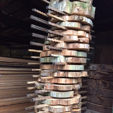 Sequoia schijven