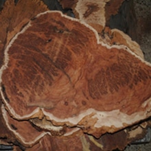 Burls