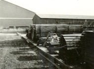 geschiedenis-van-de-amsterdamsche-fijnhouthandel-minervahaven-1