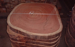 tafelbladen-schijf-padoek